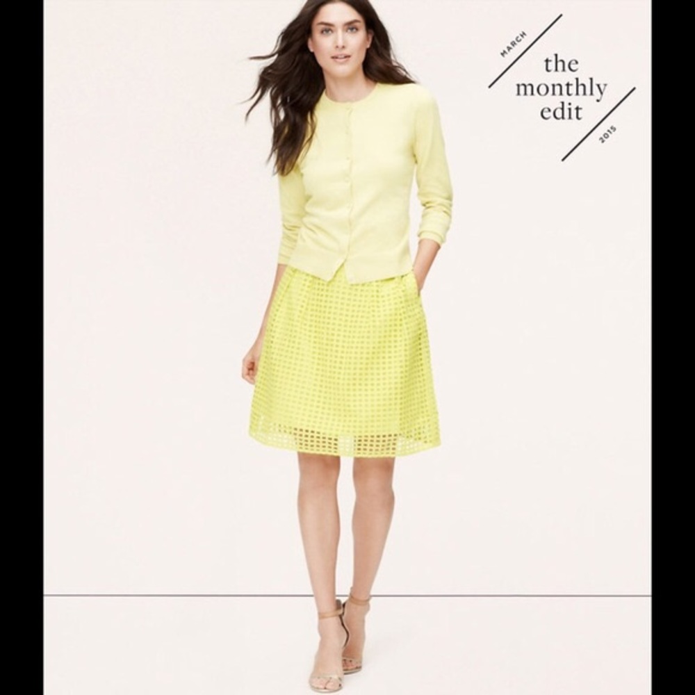 Ann Taylor Eyelet Geo Skirt Size 2